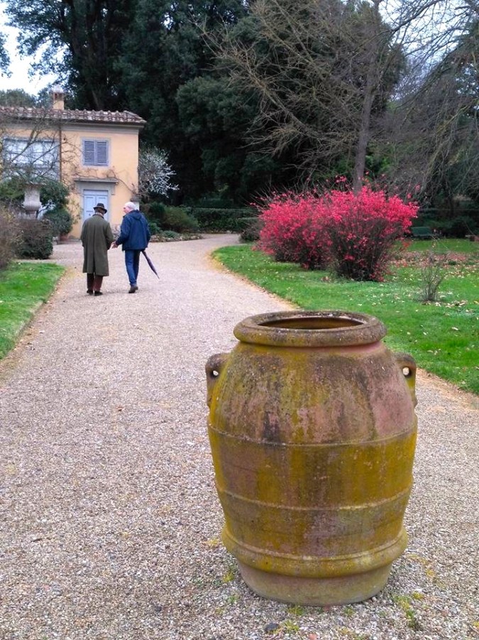 16938454_1328946867148180_6896632114334611131_n