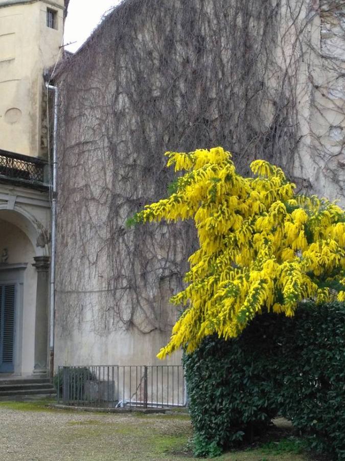 16996119_1328949280481272_3193093928289736794_n