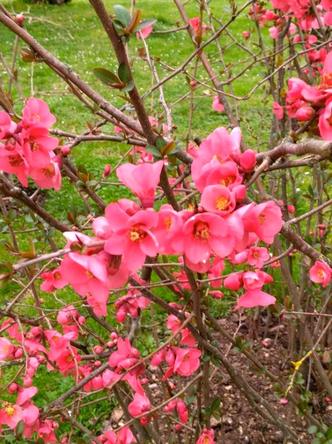 17103526_1328951930481007_5829728791061464655_n