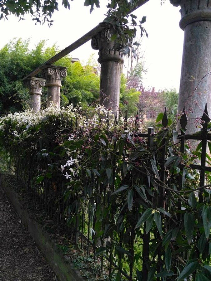 17155224_1328949537147913_7630549727469730587_n