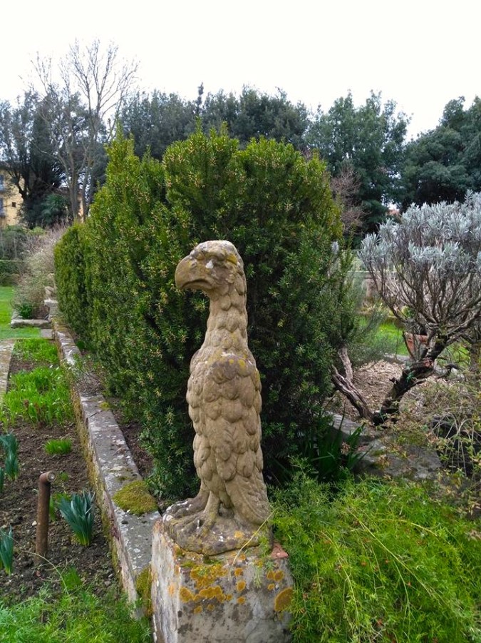 17155832_1328946770481523_7743309905695125794_n