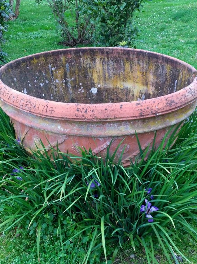 17155882_1328946853814848_2317507623376326789_n