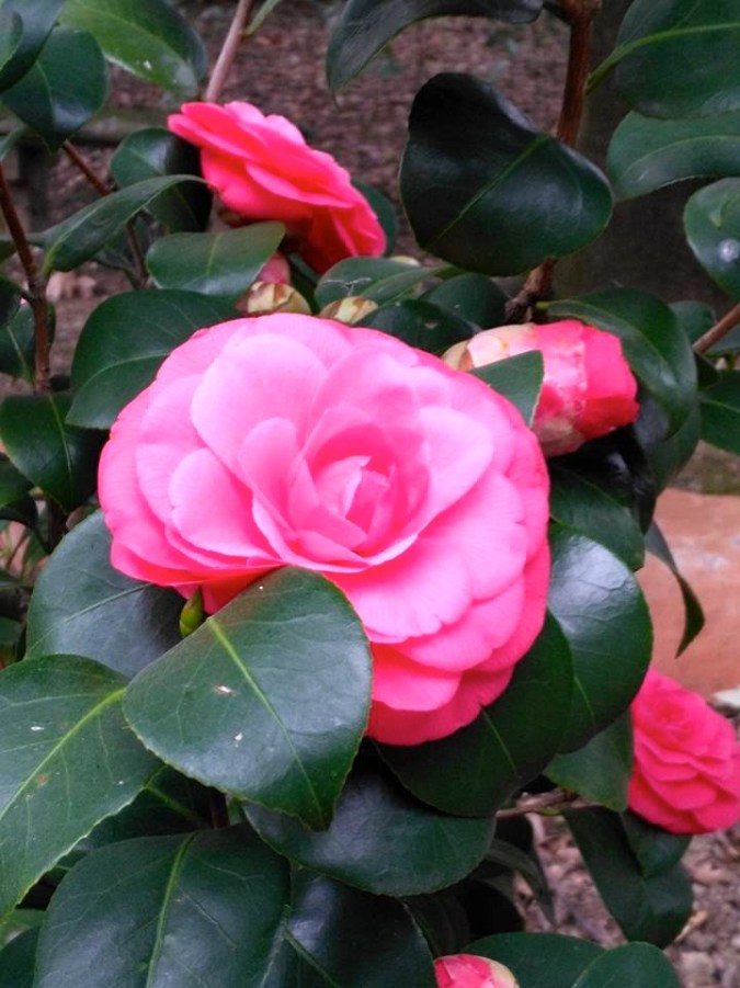 17190853_1328951793814354_7181653888625914555_n