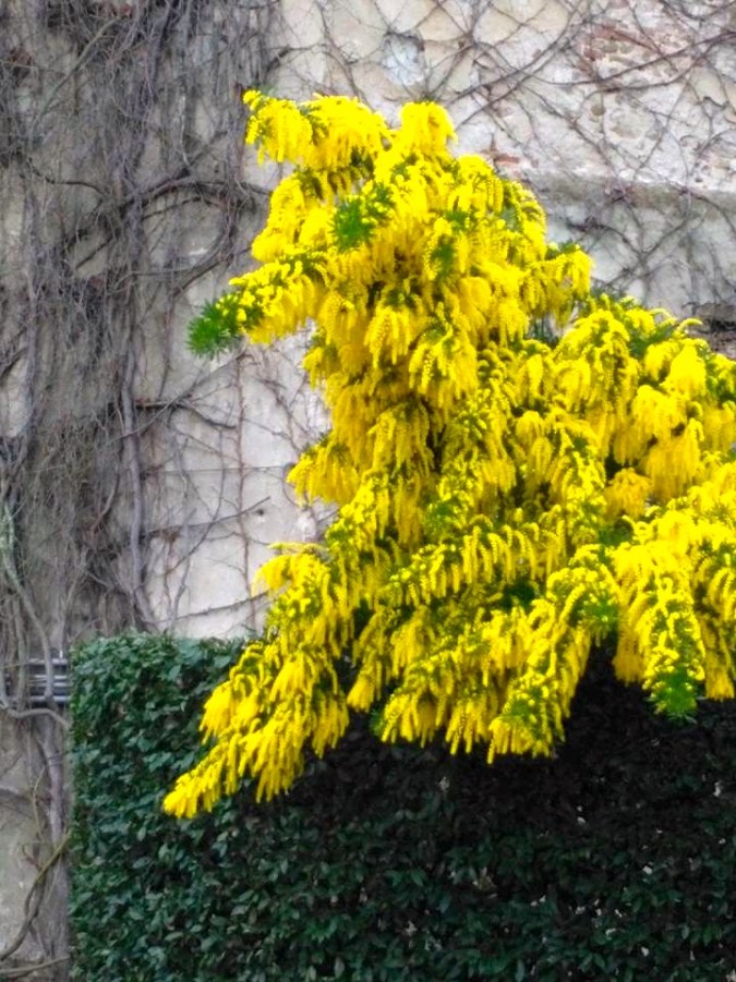 17191035_1328951807147686_3990862948898155259_n