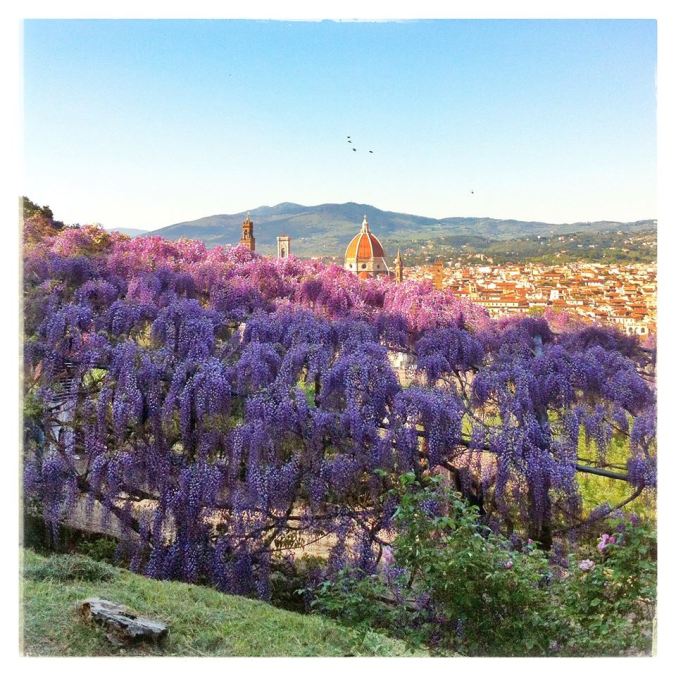 10409725_353642754832720_8711766517103076187_n