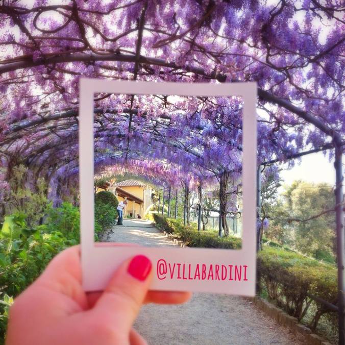 12669621_436534513210210_3896791099394688735_n