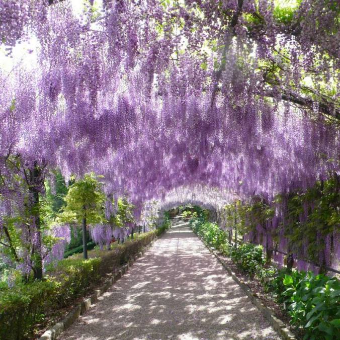 17634858_619450541585272_4728796604122320184_n