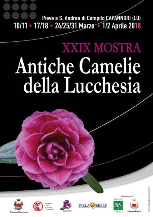 27336333_10156132894363588_2775332094118318956_n