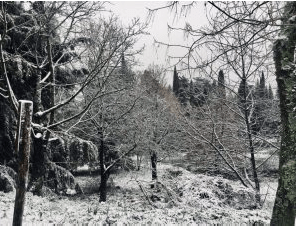 Screen Shot 2018-02-07 at 12.20.56 PM