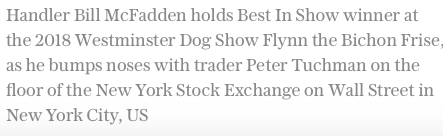 Screen Shot 2018-02-17 at 9.24.31 AM