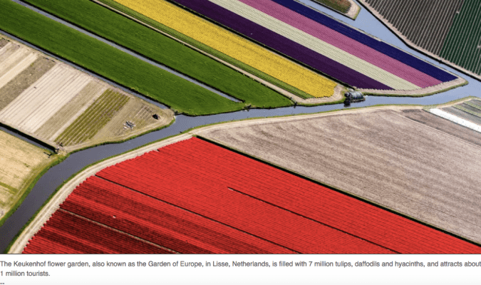 Screen Shot 2018-04-22 at 2.31.49 PM