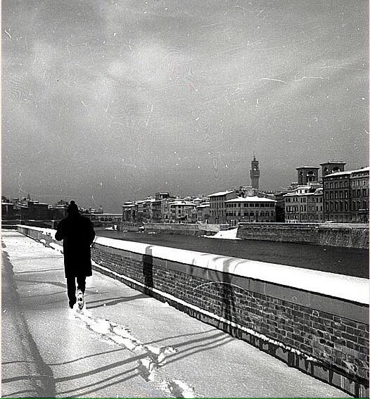 36694761_248309719310523_8569252116856569856_n