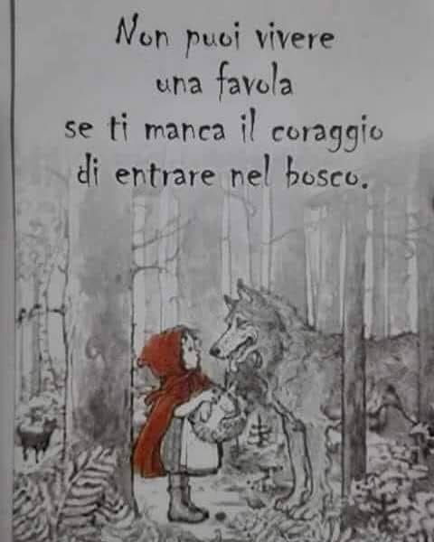 36790085_10216577179332054_3656437299832422400_n