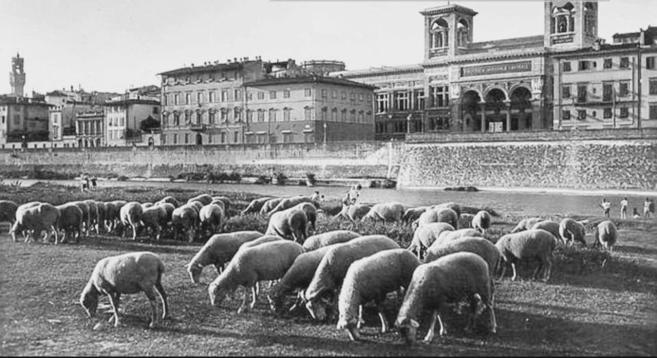 39441563_294865881321573_5580196238822735872_n