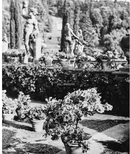 Screen Shot 2019-08-28 at 11.46.32