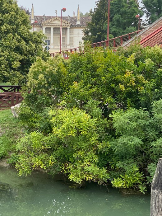 5JeinPyiRhG5BXECdU+sWg