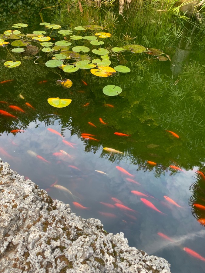 AhzduNbOTLiO49vH1hKnEg