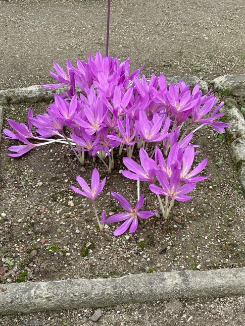 bKmxgmjMTK2C9qyJCH8L5Q