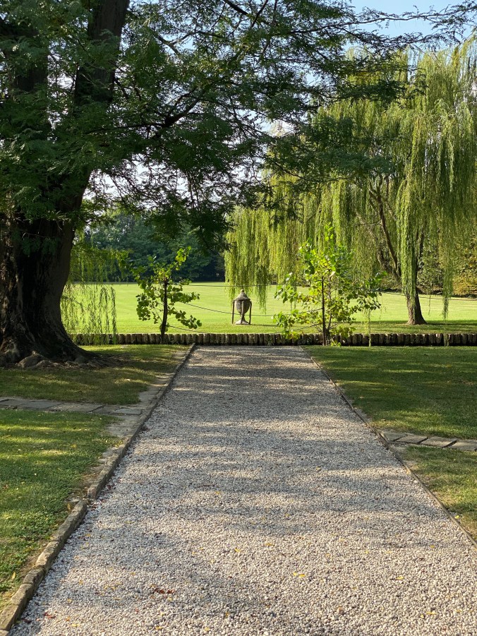 f+VVlYaDTua0lgRNu96C5Q