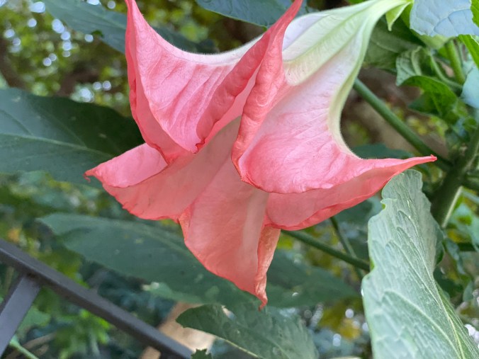 j3n+jRtOSNiH9B2%gJqMBQ