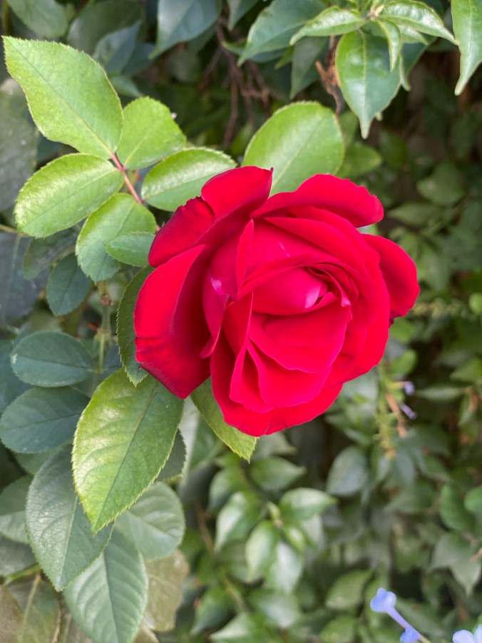 khxw%NvJTVebDkmLb35pyQ