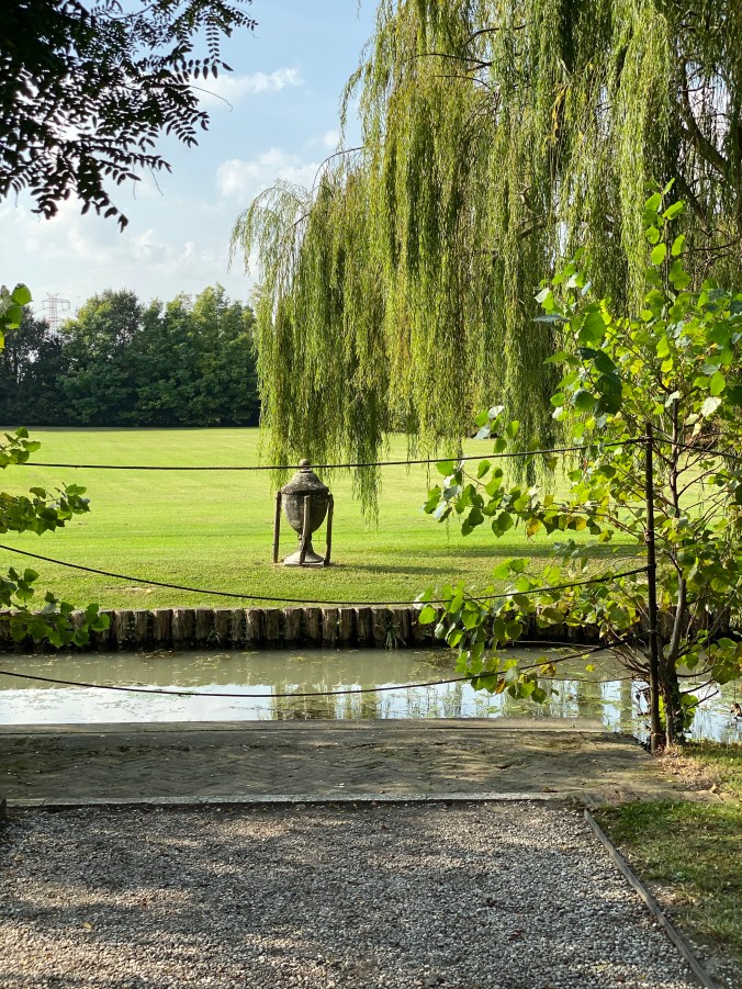 KkvDbY5DS3eDZ3rYVlvaBg