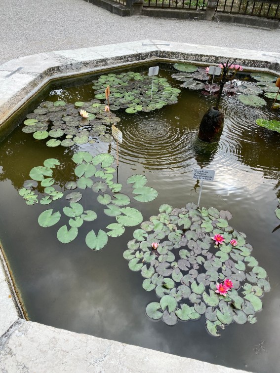 mCQf1FUPSRuKAqT+6G8OTQ