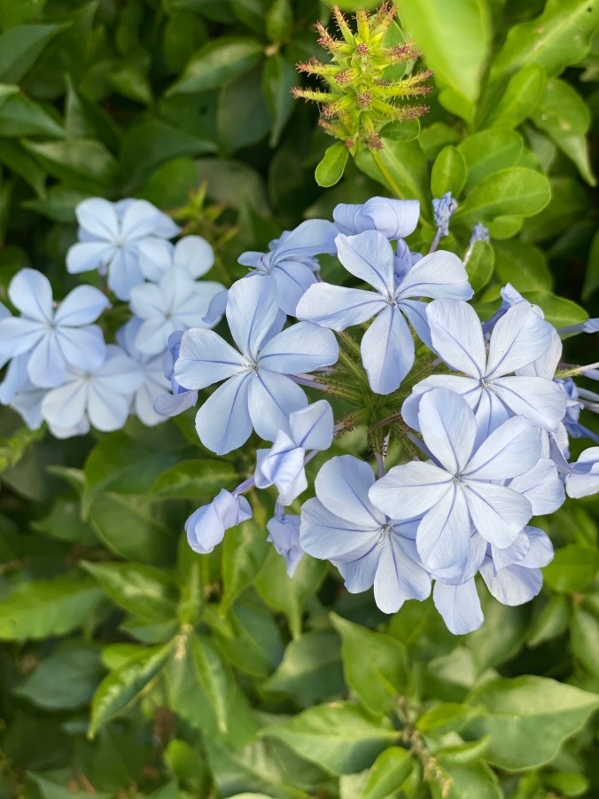 +nd9GDt5TBClXsxZ6iw4cA