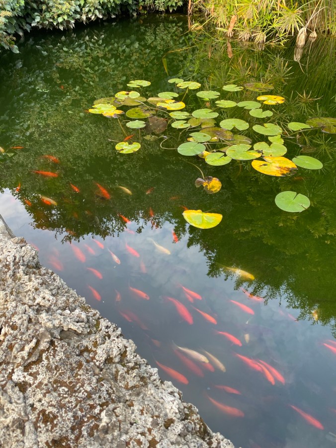 nJGcBRk1ShCxgQDg3qMtzA