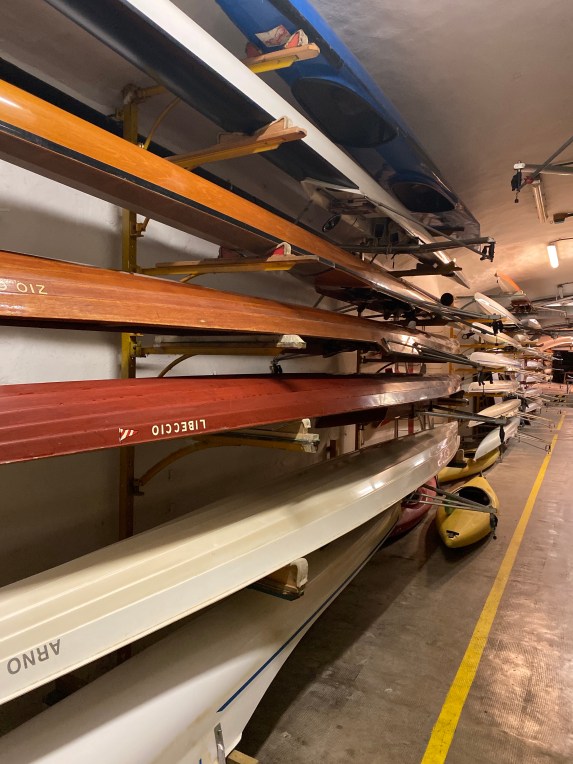 Or8ZCiFqSXW6Uynpetv5sw