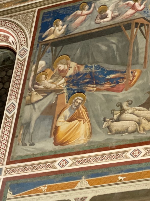 S2mt8rOASI+nm5sXFcTBLA