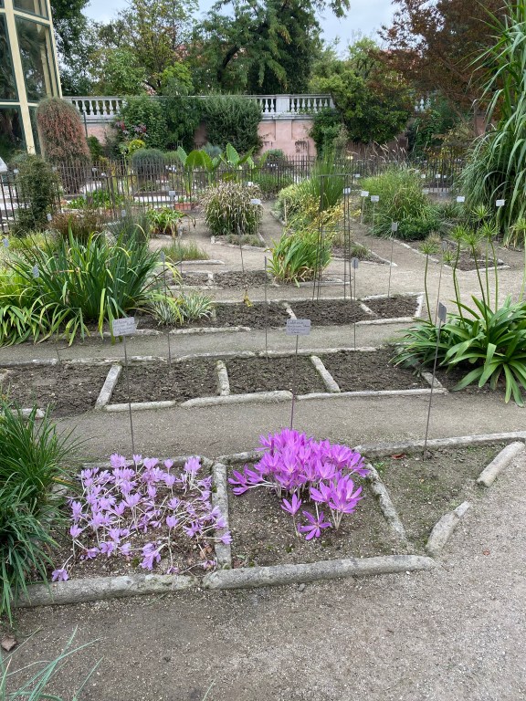 UMbHERhiRVusEcKbR5Y4JQ