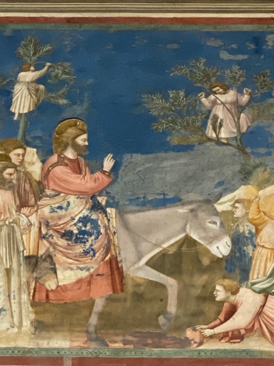 vUKEJA7IT224BVs1qXOT3Q