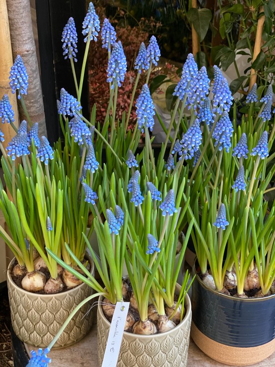 CyNSFqlnQHeTFeOQfo47tQ