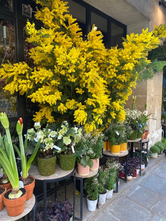 lHo5J+tURlezUYekApPMYQ