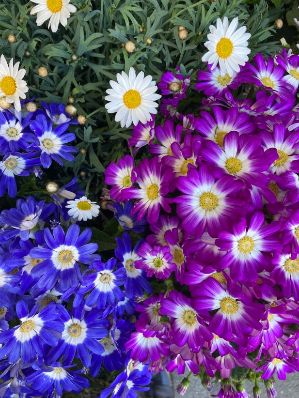 bhTmUhkpTAuM8ijs6qAMnQ