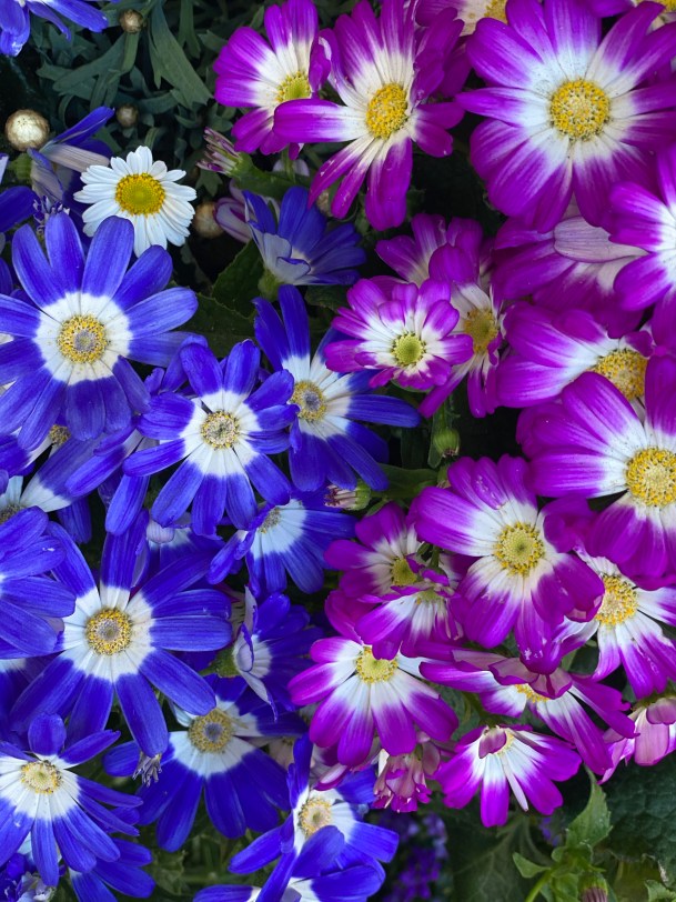 d3V3CegeR1GqLkhqvN1CvQ