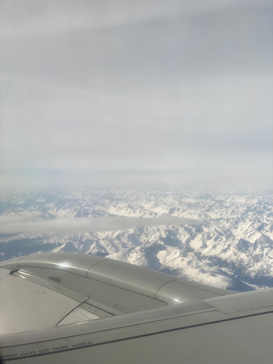 P5ORAOVXQVeueHG1RmrFPQ