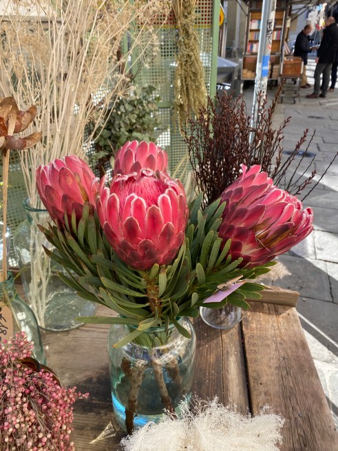 rg87X48LSje8pZ5Vuxo7Kw