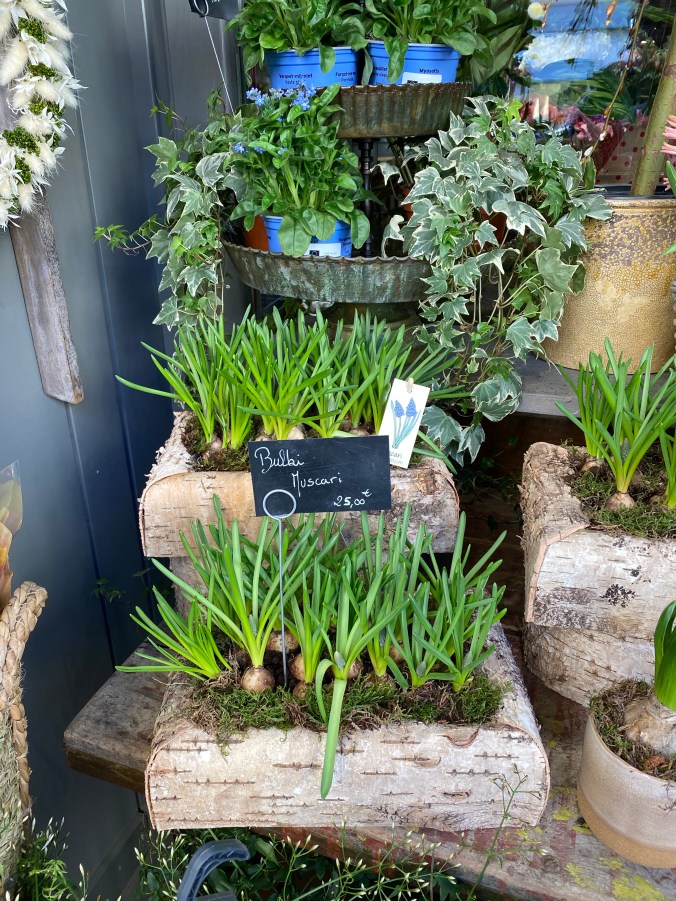 Sl7HWsmESJC6rYB4BF4zdQ