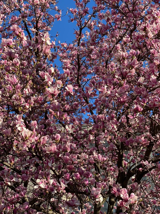 sXJV0yDCSK2OS98V3JAPuw