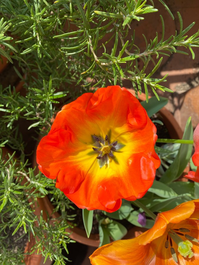 0ClsSZpsQdKqZmRje6jHLQ