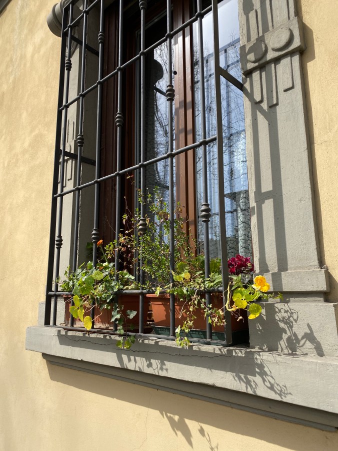 1N802BP3SkyDD9ZtVRdj9g