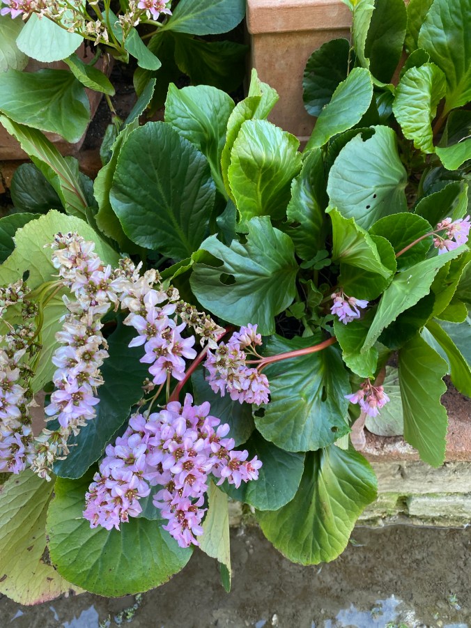 2O3E6lrjRCKHibvorWjyNw