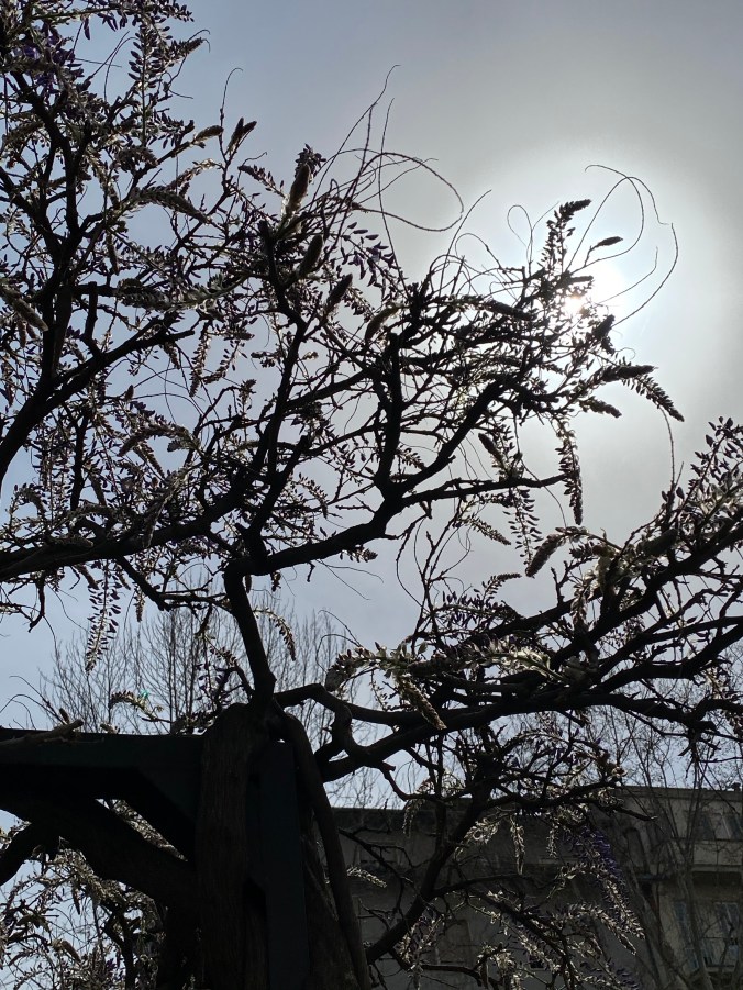 9%uYGWv1SNG%tXQtPj9TKw