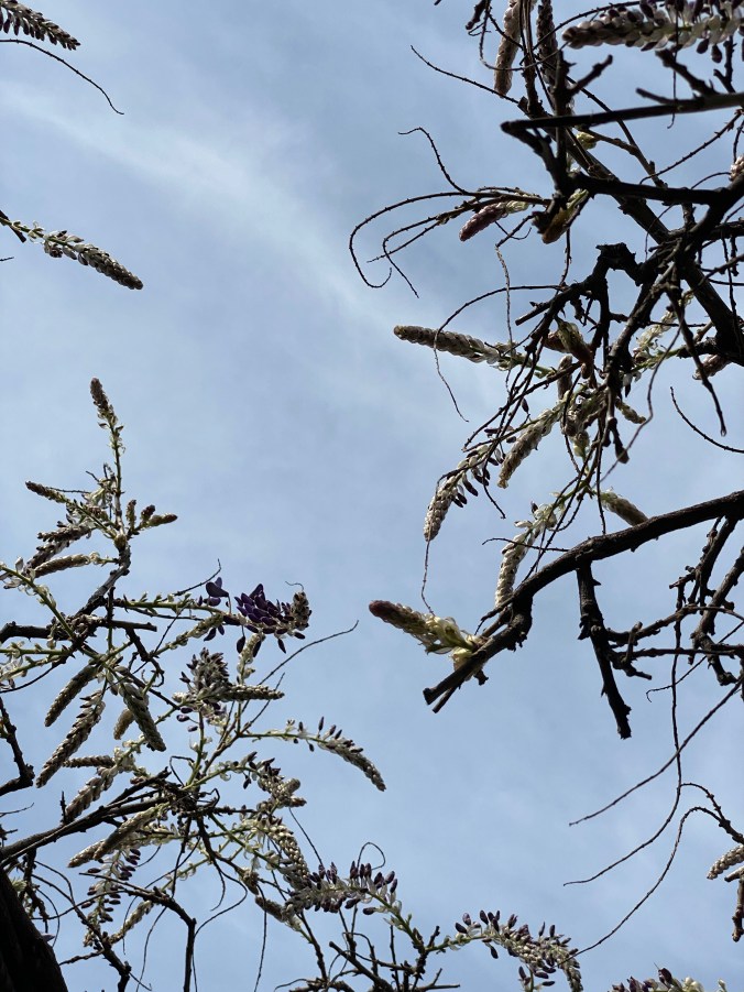 BB5PG2oDTYONSFn8pp08EA