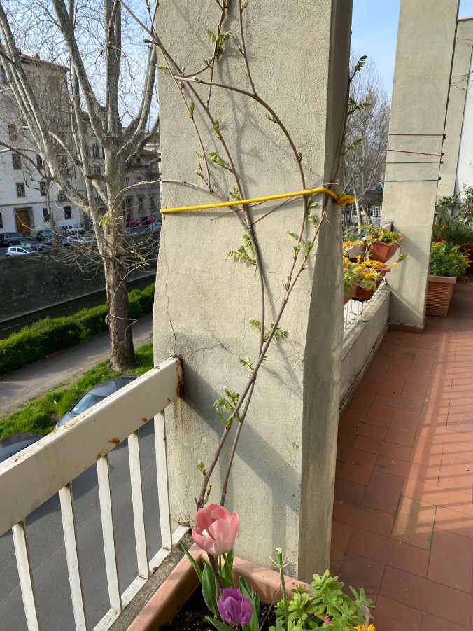 bqE07RY2SByD4hW63LAgww