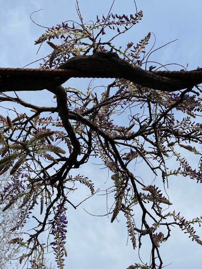 CF9mhwZ0R%SQ3T4LQip%ug