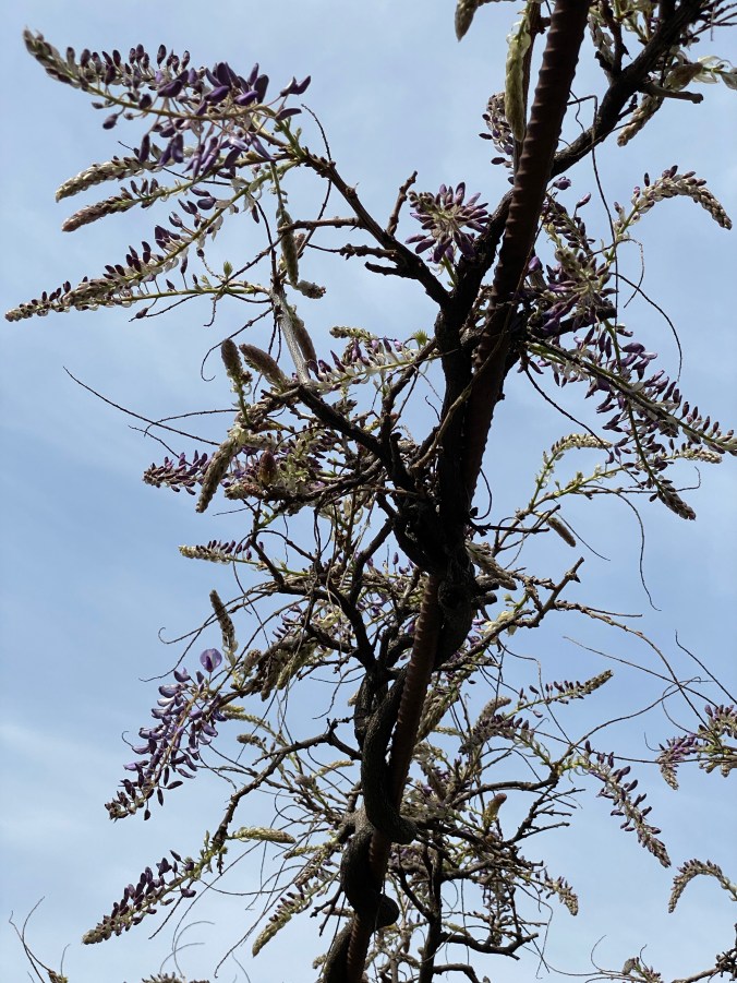 fT%sgGpxSK+3iyUxJBlpdA