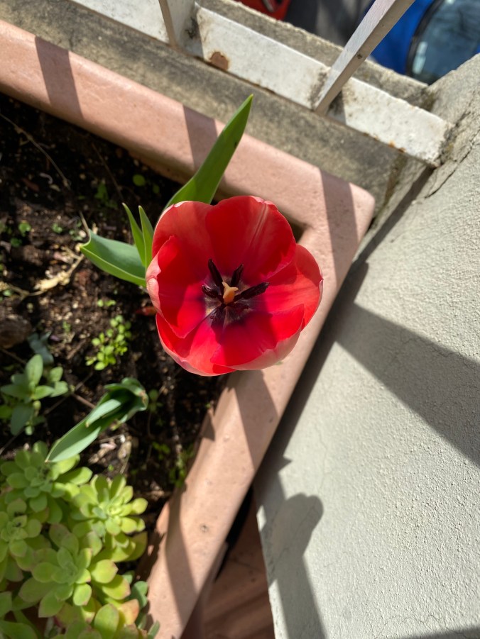 iJ37RYFqTfeFr92R1DC5Jw